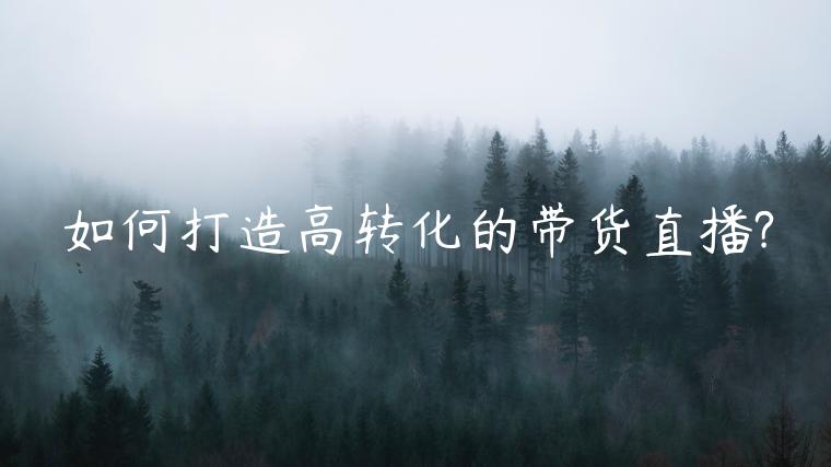 如何打造高轉(zhuǎn)化的帶貨直播?